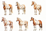 Spring Horse Clipart, an Illustration by Designworld (Thumbnail 3 of 7)