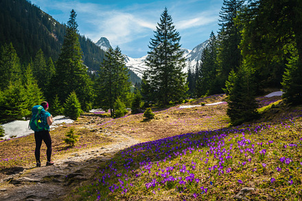 Hiker on the trail in mountains, a Nature Photo by Alpine Dreams
