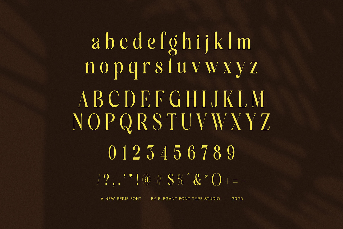 Mango Elegant Serif Font, a Serif Font by Elegant Font (Photo 8 of 8)