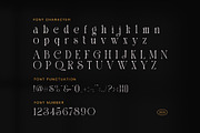 Bungs Elegant Modern Serif Font, a Serif Font by Graphicxell (Thumbnail 7 of 8)