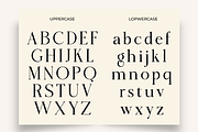 Fiorena, a Serif Font by Zafiratype (Thumbnail 13 of 15)