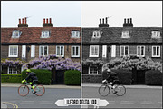 Ilford Films LUTs, a Plug-in Add-On by Raztrend (Thumbnail 27 of 30)