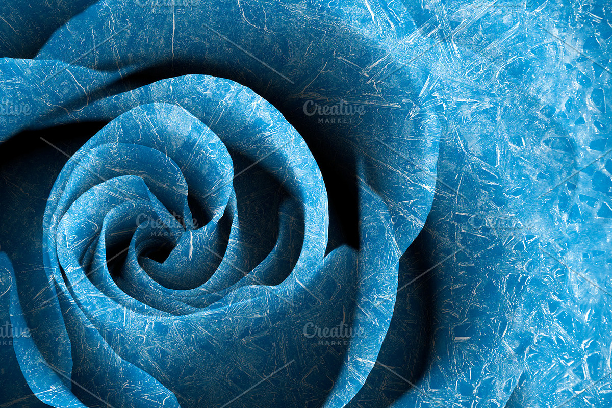 Arctic Rose, an Abstract Photo by Bold Frontiers (Photo 1 of 2)