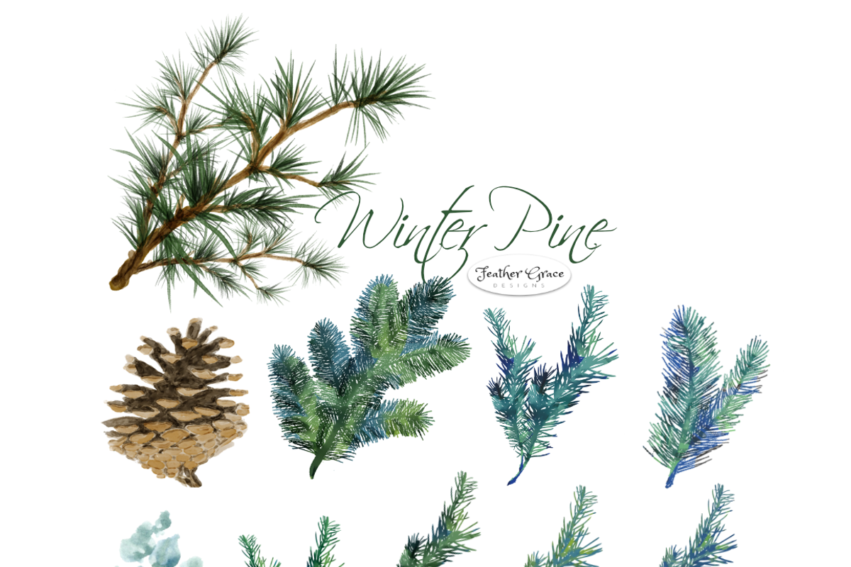 Pine Branches & Wreaths, an Illustration by Feather Grace Designs (Photo 5 of 13)