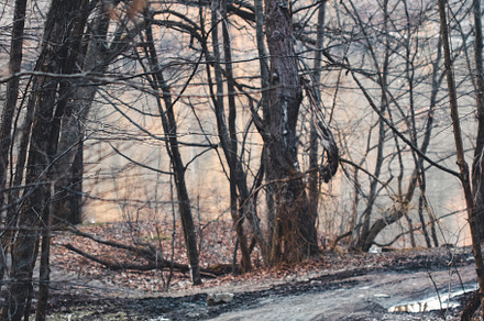 children go on the road along