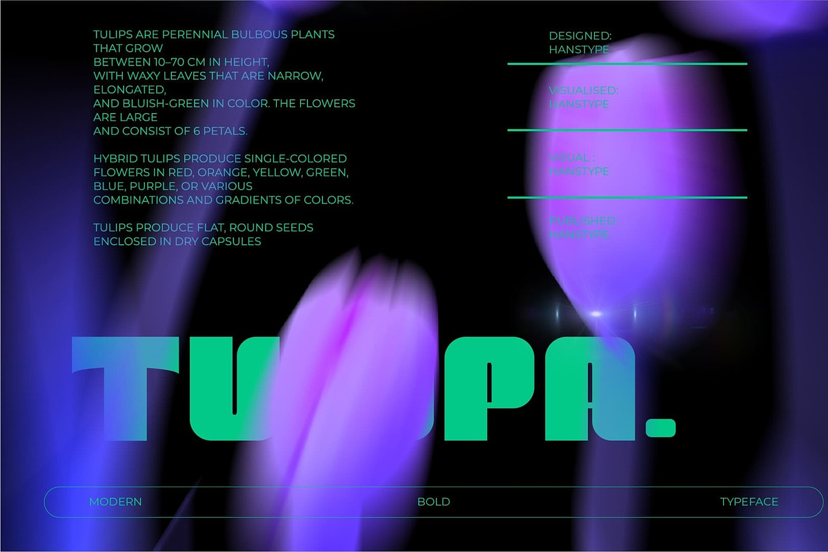 Nightcrest - Bold Font, a Font by Hanstype.com (Photo 6 of 11)