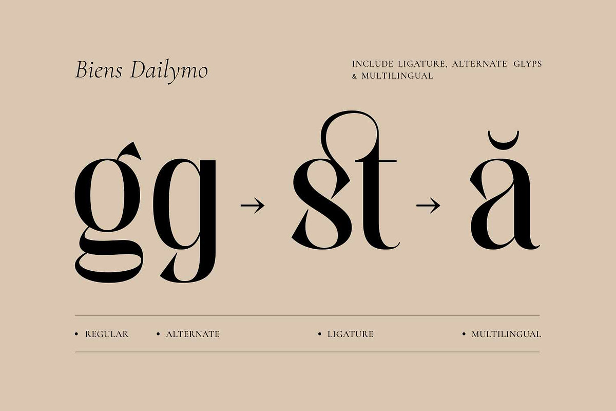 Biens Dailymo - Chic Display Serif, a Serif Font by Imoodev (Photo 2 of 5)