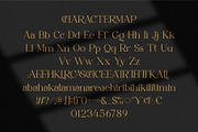 Treka || Modern Serif Font, a Serif Font by Ermedia Studio (Thumbnail 8 of 10)
