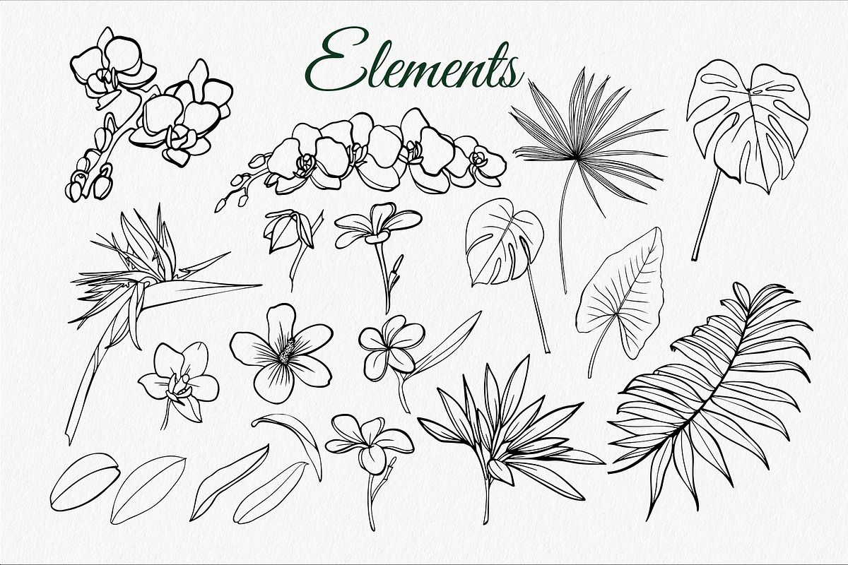 Tropical set SVG, an Object Graphic by mArtstore (Photo 2 of 5)