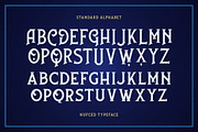 Nufced Typeface, a Serif Font by Twicolabs Fontdation (Thumbnail 7 of 9)