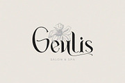 Absolute - Modern Serif, a Serif Font by Nirmana Visual (Thumbnail 4 of 11)