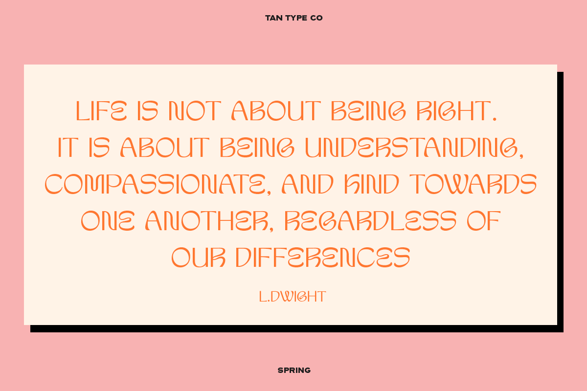 TAN-SPRING, a Sans Serif Font by TanType (Photo 10 of 13)