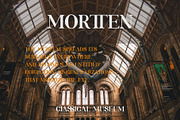 ROLATE Ligature Serif Typeface, a Serif Font by Alfinart (Thumbnail 4 of 10)