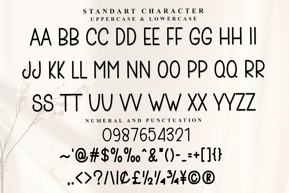 Books, a Sans Serif Font by FreshTypeINK (Photo 5 of 8)