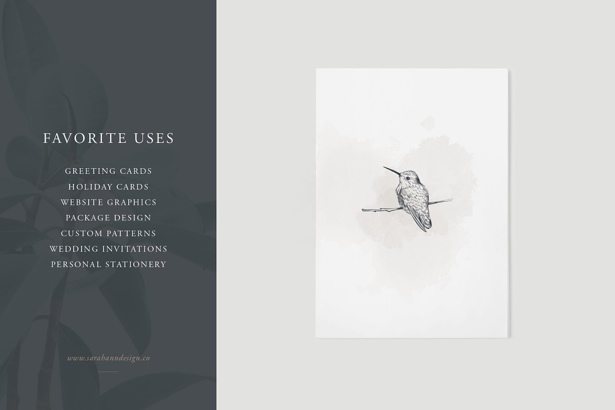 Bird Illustrations: Vector Pack, an Illustration by Sarah Ann Design (Photo 5 of 6)