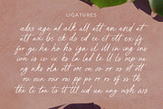 Blue Paradise | Signature Script, a Script Font by Ef Studio (Thumbnail 10 of 13)