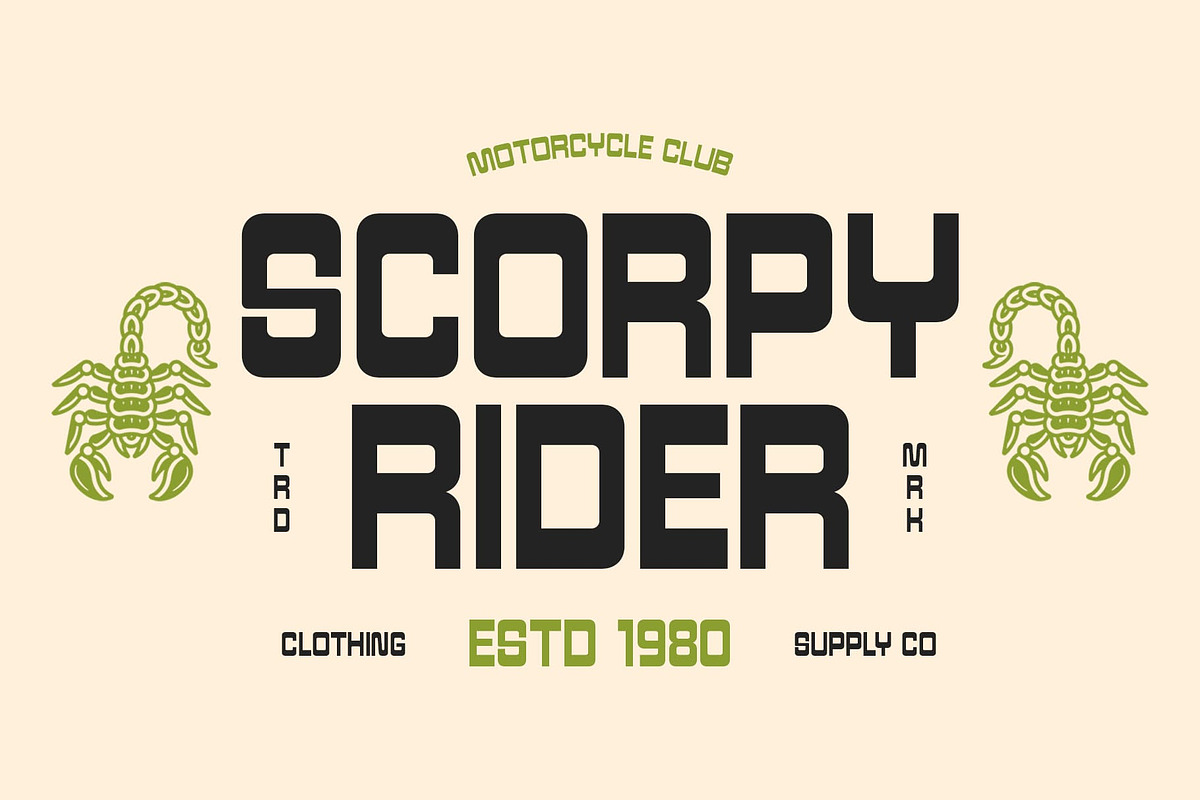 CS Strider – Reverse Contrast Font, a Sans Serif Font by Craft Supply Co. (Photo 3 of 8)