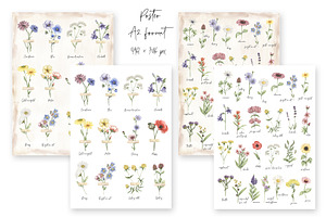 Watercolor Field Flowers Collection