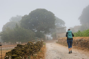 Pilgrim Walking on Foggy Camino Primitivo Trail, Galicia, Spain