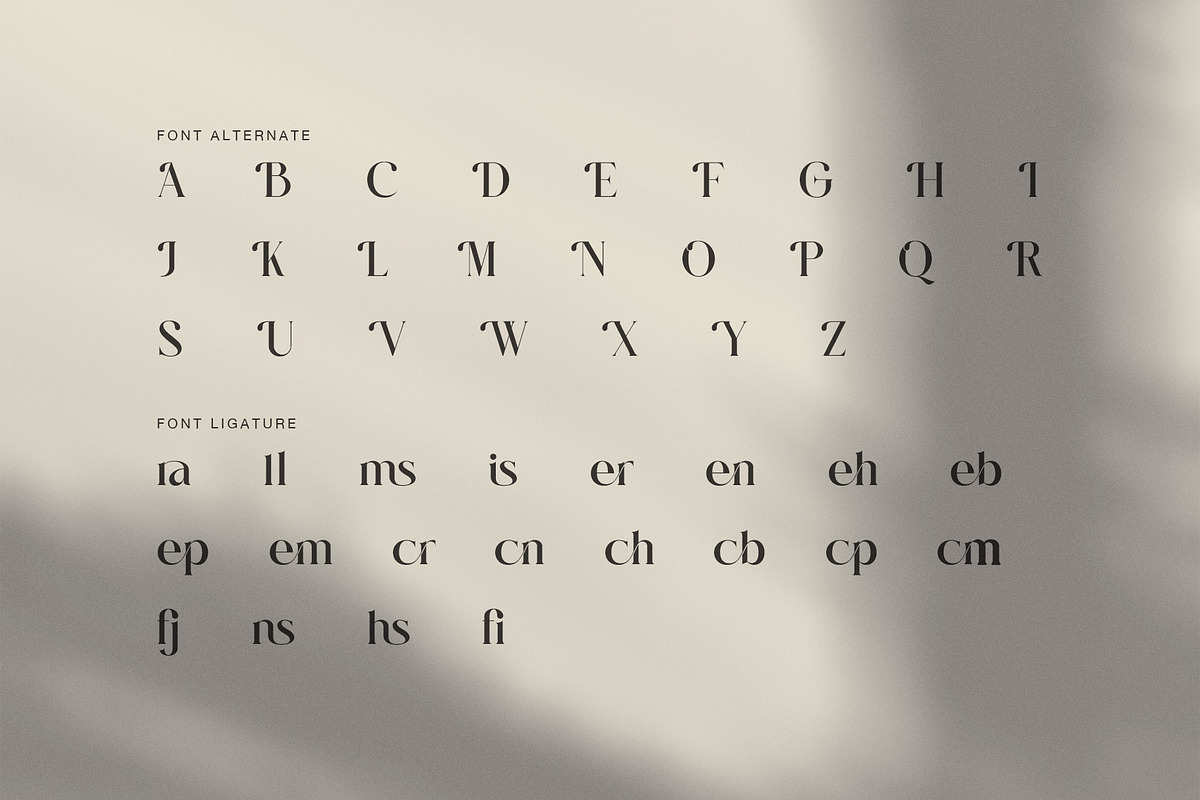 Bellira Elegant Serif Font, a Serif Font by Graphicxell (Photo 8 of 8)