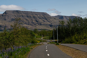 Scenic bike path in Mosfellsbær Iceland with mountain views and lush greenery, a Photo by AS photostudio