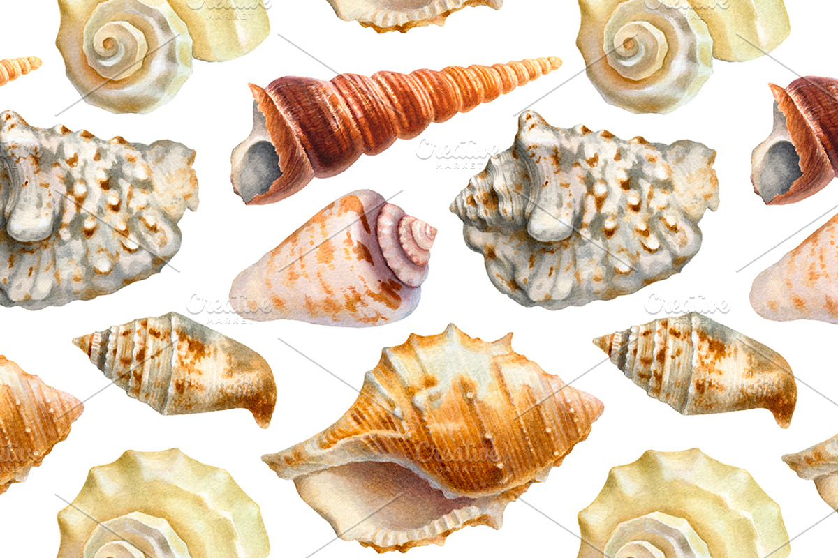 Sea shells, a Texture Illustration by Sundra (Photo 4 of 5)