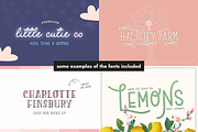 The Farmhouse Font Bundle, a Font by Salt & Pepper Designs (Thumbnail 8 of 11)