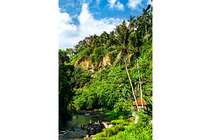 The Petanu River downstream, a Nature Photo by Leonid Andronov