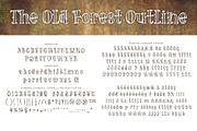 The Old Forest, a Serif Font by Brittney Murphy Design (Thumbnail 3 of 3)