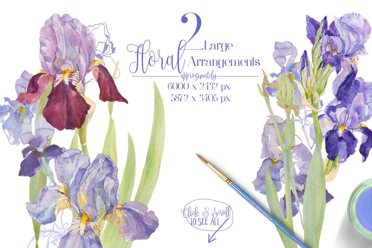 BLUE IRIS - watercolor clipart set, an Illustration by watercolorwild.graphics (Photo 3 of 7)