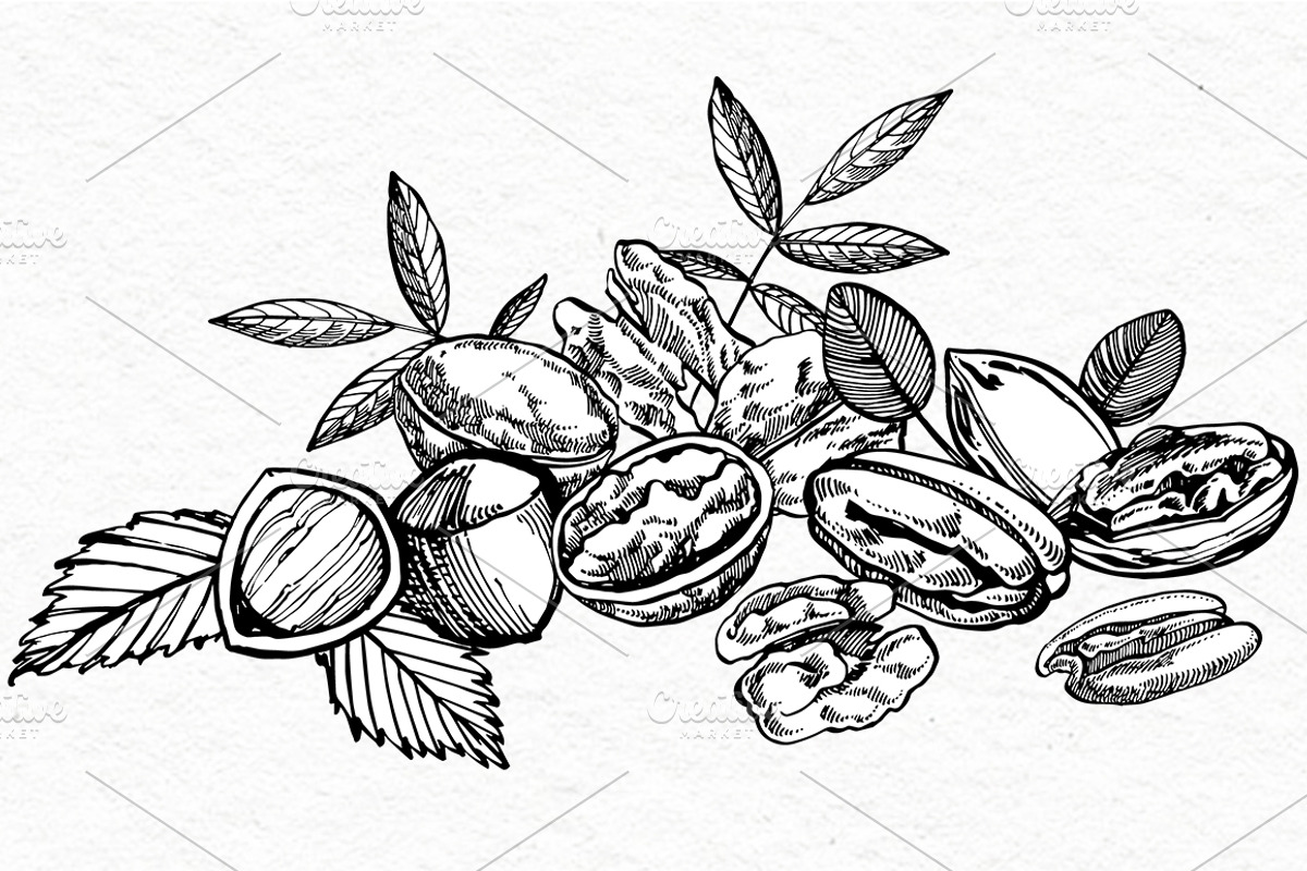 Nuts and snacks, a Food Illustration by Ann Astro (Photo 24 of 24)