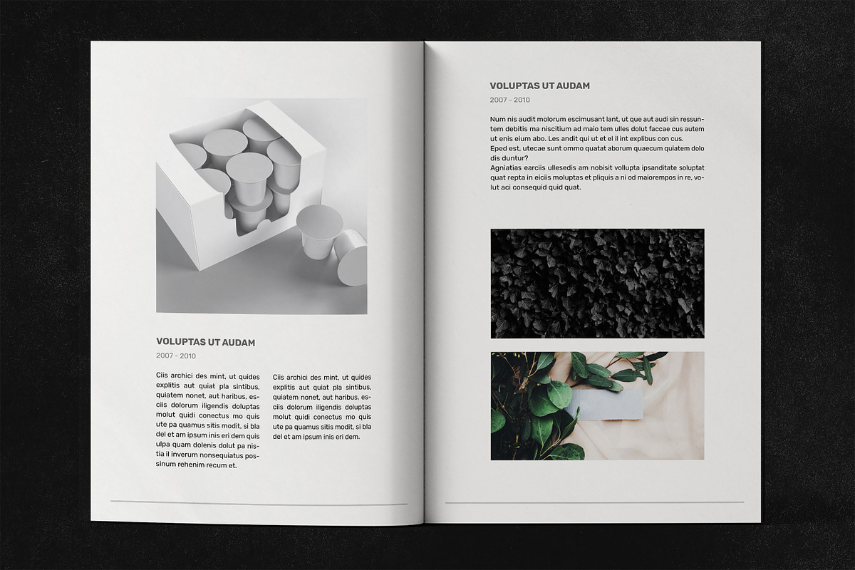 Portfolio Template, a Brochure Template by FlyeredTemplate (Photo 9 of 11)