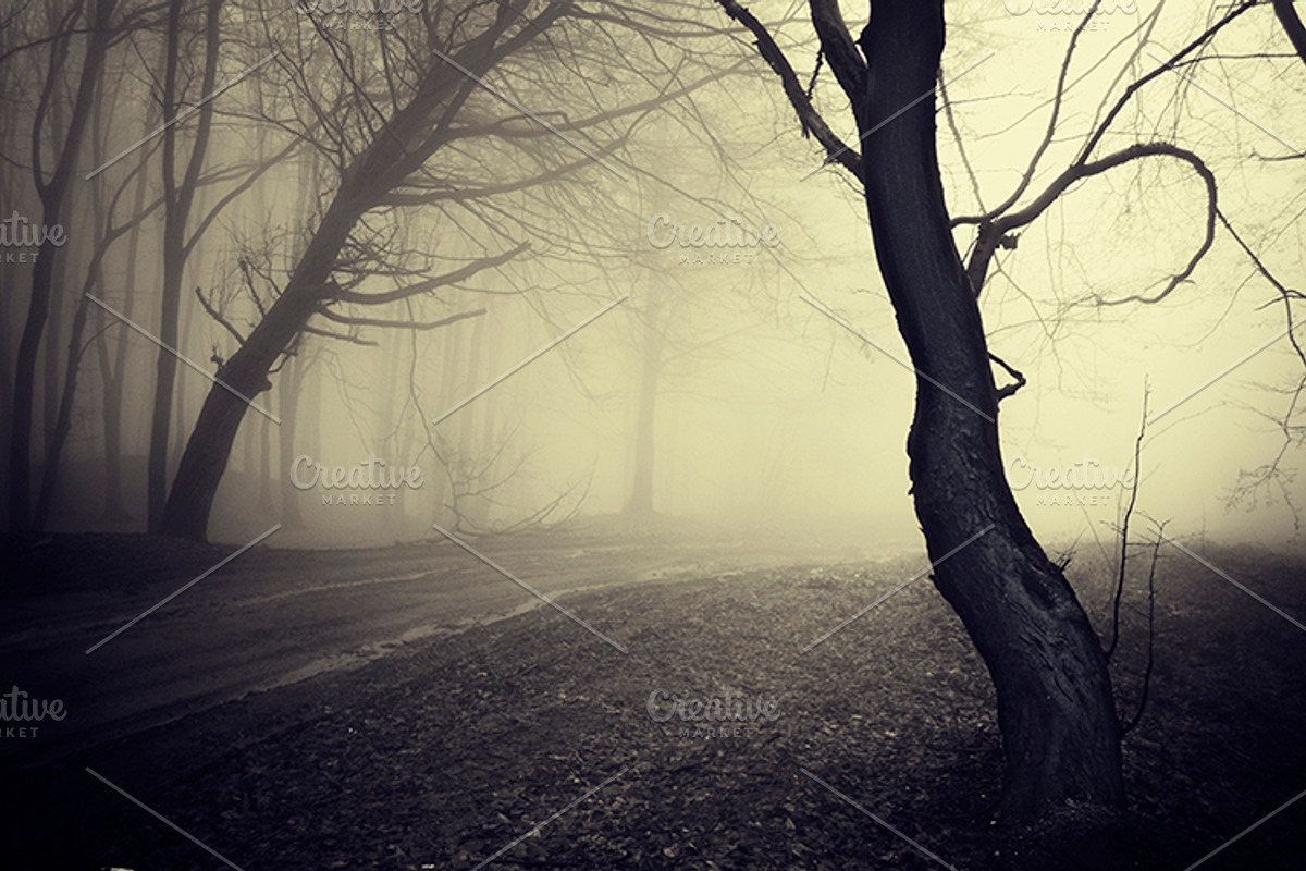 Mysterious forest halloween pack stock photo containing dark and eerie, a Nature Photo by Atmospheric visuals (Photo 4 of 5)