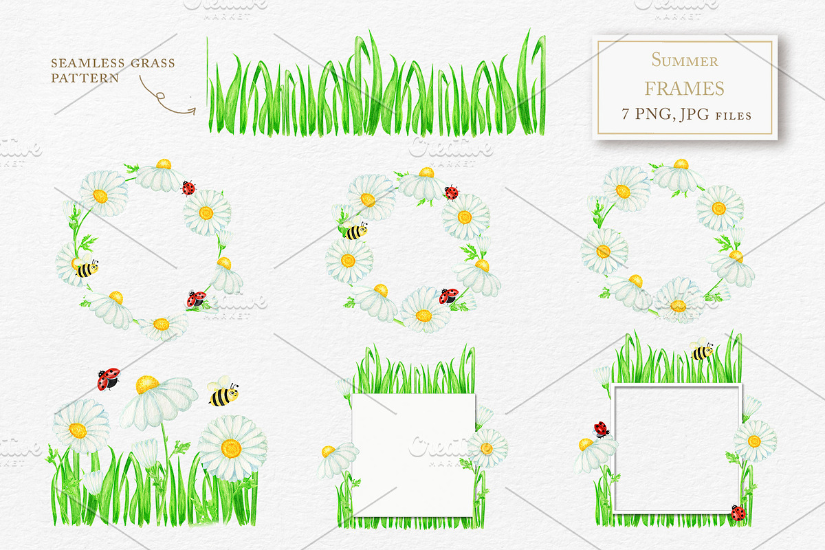 Summer Ladybug & Chamomile clipart, an Object Graphic by svetlanaARTdreams (Photo 3 of 8)