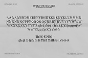 The Serifon Editorial, a Serif Font by Black Studio (Thumbnail 16 of 17)