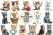 Watercolor Cat Clipart PNG, an Illustration by Pixels.Craft (Thumbnail 1 of 7)