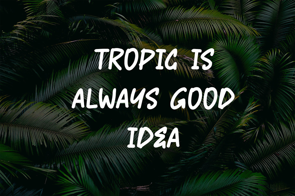 HONEKE Monoline Brush Font, a Handwritten Font by NTC Graphic (Photo 5 of 9)
