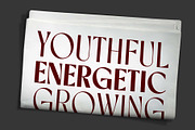 Rovaney - Fancy Font Family, a Serif Font by Arterfak Project (Thumbnail 11 of 15)