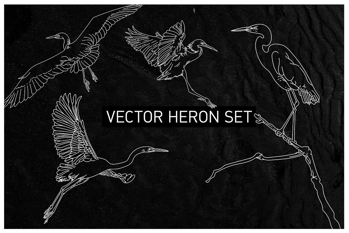 Vector Heron Set, an Illustration by Inkwell Supply Co (Photo 1 of 7)