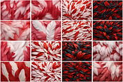 Red Feather Background, a Texture Graphic by Forhadx5 (Thumbnail 4 of 5)