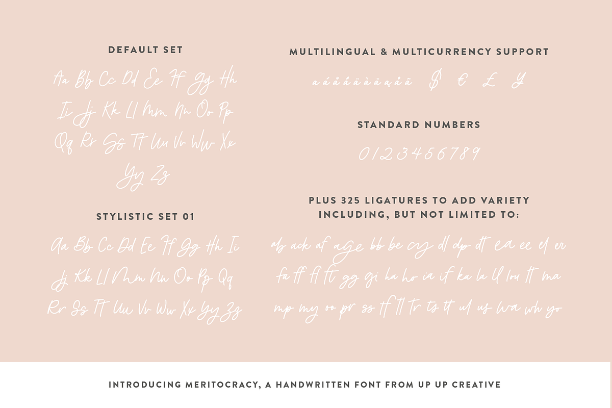Meritocracy Handwritten Font, a Script Font by Up Up Creative (Photo 6 of 8)