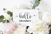 Nicola Aquine, a Script Font by Essentials Studio (Thumbnail 6 of 8)