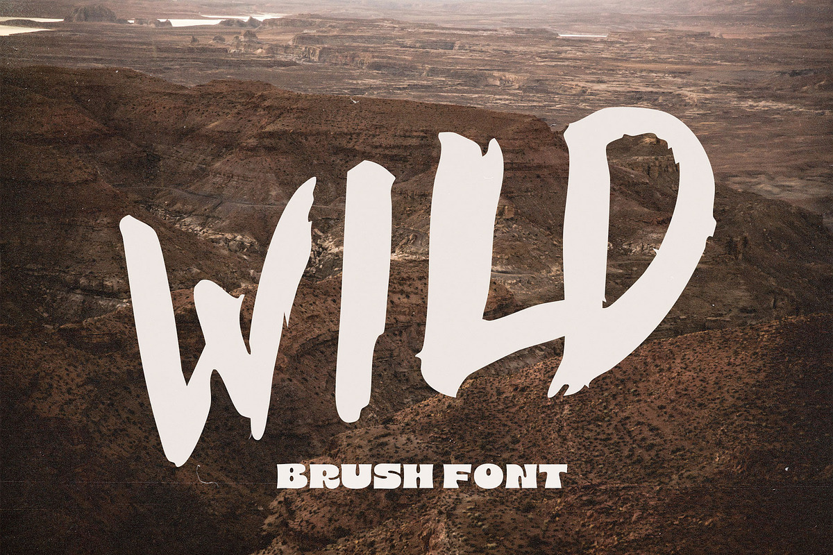 Brush Font. WILD Hand drawn Typeface, a Font by Mark Skitsky (Photo 1 of 6)