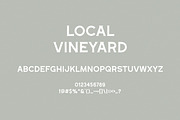 Local Vineyard Font, a Font by olinevod (Thumbnail 2 of 3)
