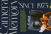 Galgen Modern Serif Font, a Serif Font by Alfinart (Thumbnail 2 of 11)