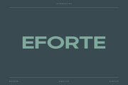 Eforte - Modern Display Typeface, a Font by Letterna (Thumbnail 1 of 4)