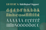 Aielenea - Elegant Luxury Serif Font, a Serif Font by Qweera Studio (Thumbnail 11 of 12)