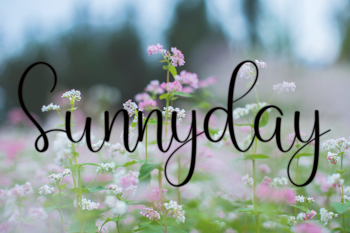 Lovely, a Handwritten Font by InermediaSTUDIO (Photo 4 of 7)