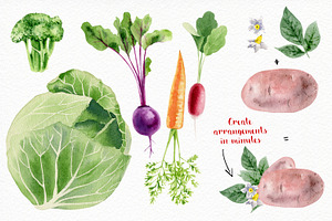 Watercolor Vegetables And Herbs