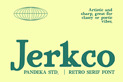 Jerkco - Retro Groovy Serif, a Serif Font by Pandeka Studio (Thumbnail 1 of 9)